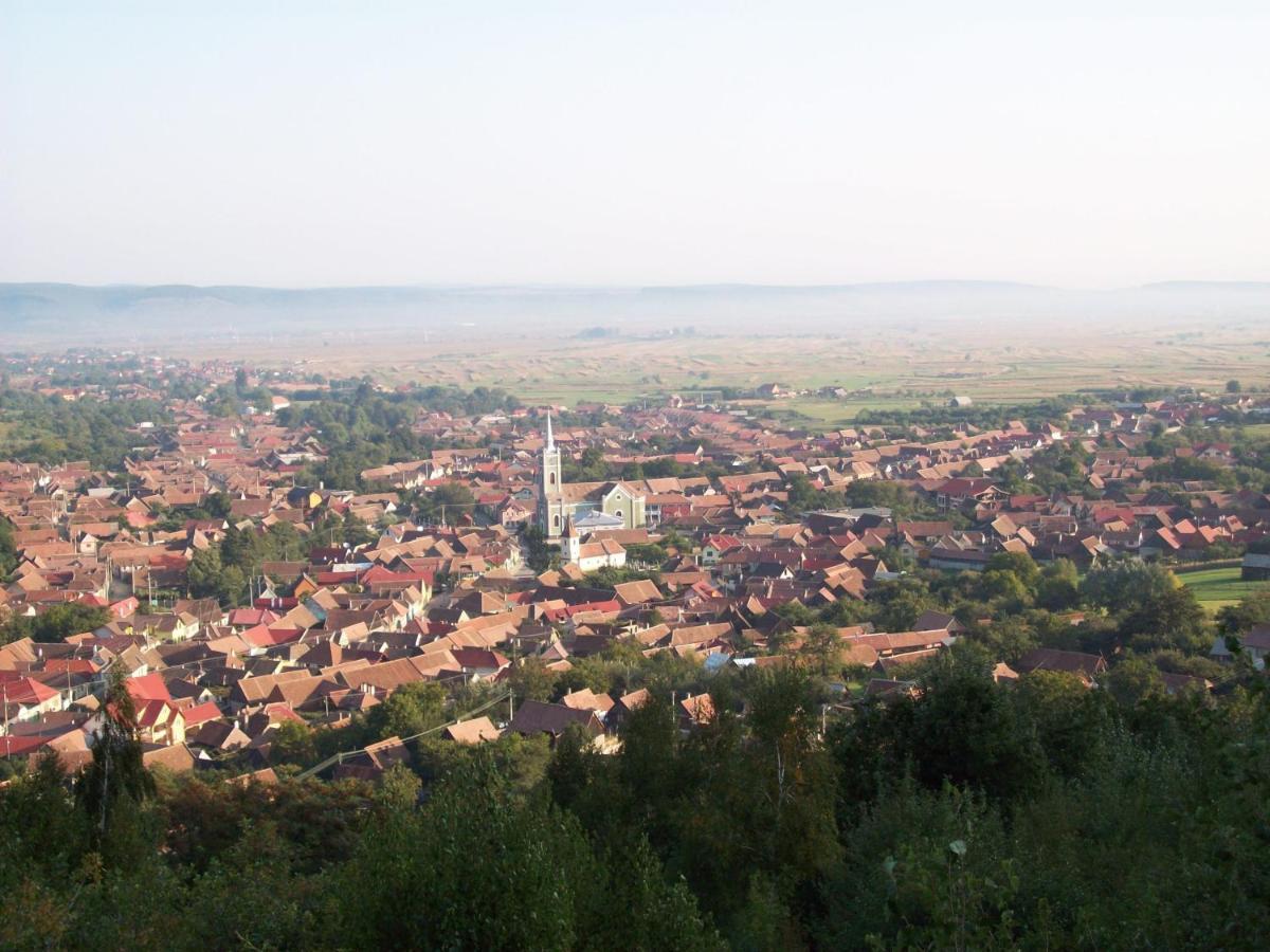 Pensiunea Norica Gura Rîului Exterior foto