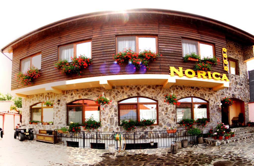 Pensiunea Norica Gura Rîului Exterior foto