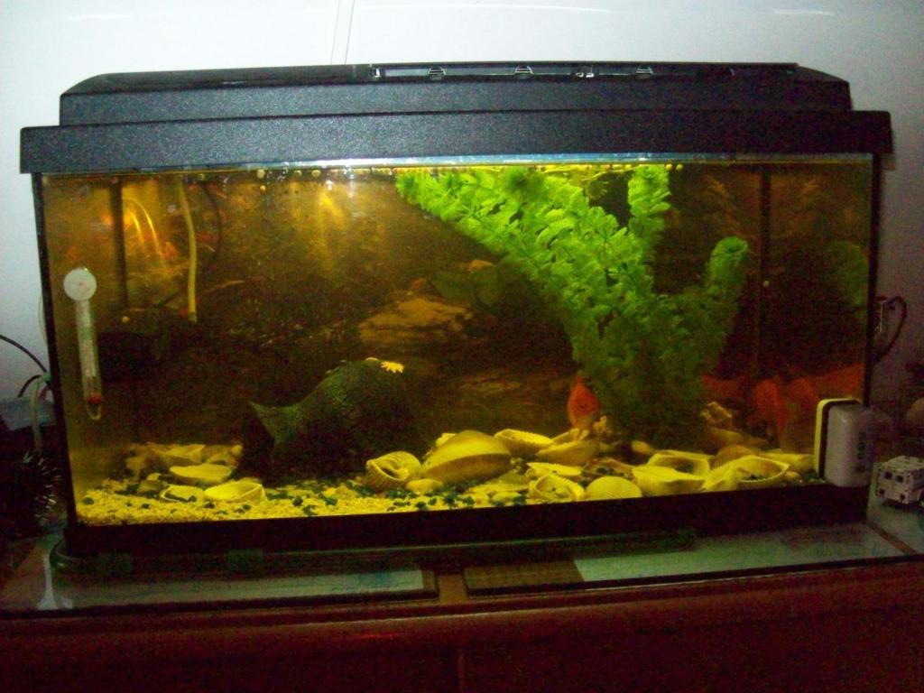 Pensiunea Norica Gura Rîului Zimmer foto